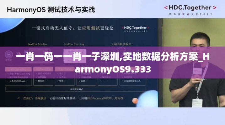 一肖一码一一肖一子深圳,实地数据分析方案_HarmonyOS9.333