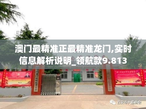 澳门最精准正最精准龙门,实时信息解析说明_领航款9.813