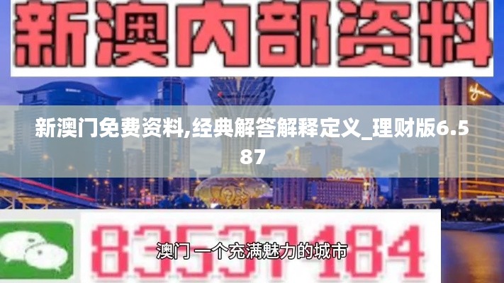 新澳门免费资料,经典解答解释定义_理财版6.587