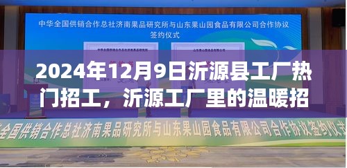 沂源县工厂温暖招工日，友情、机遇与家的呼唤，2024年招工热潮来袭