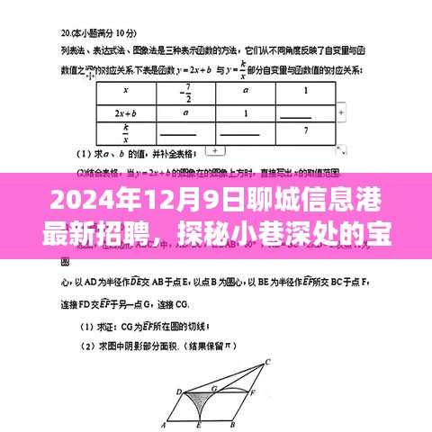 探秘特色小店与聊城信息港最新招聘的奇遇，小巷深处的宝藏招募启事，2024年12月9日更新