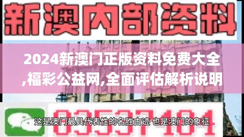 2024新澳门正版资料免费大全,福彩公益网,全面评估解析说明_PalmOS1.144