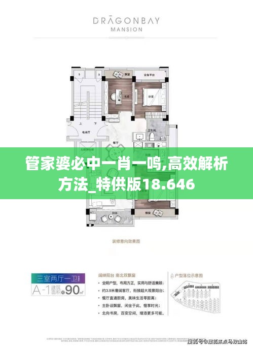 管家婆必中一肖一鸣,高效解析方法_特供版18.646