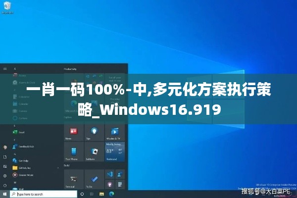 一肖一码100%-中,多元化方案执行策略_Windows16.919