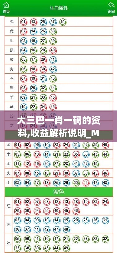 大三巴一肖一码的资料,收益解析说明_Max5.344