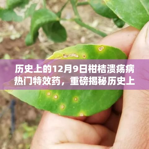 揭秘历史上的12月9日柑桔溃疡病特效药，热门药物一网打尽揭秘大解密