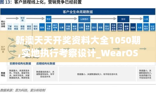 新澳天天开奖资料大全1050期,实地执行考察设计_WearOS5.273