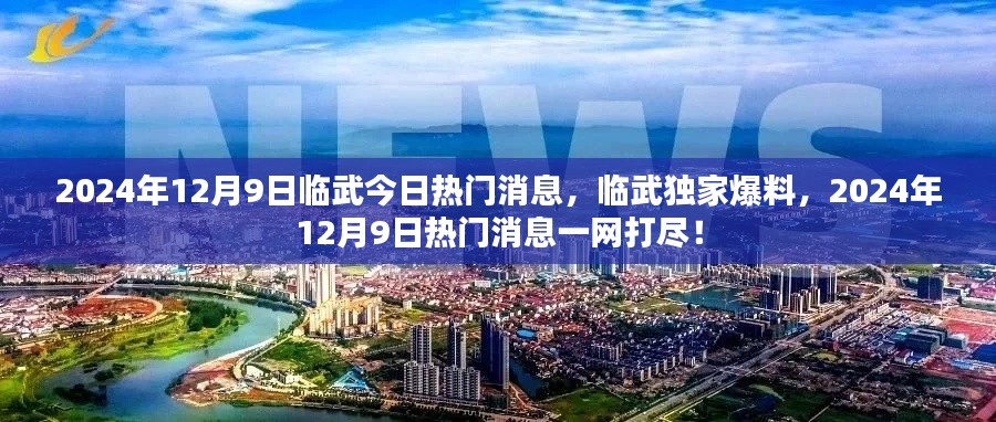 临武独家爆料，2024年12月9日热门消息一网打尽