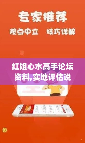 红姐心水高手论坛资料,实地评估说明_黄金版16.239