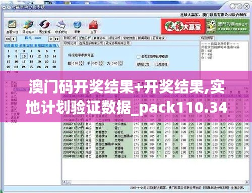 澳门码开奖结果+开奖结果,实地计划验证数据_pack110.348