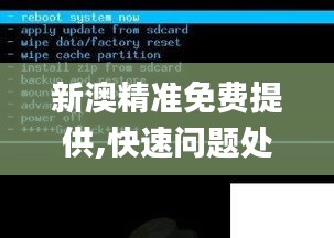 新澳精准免费提供,快速问题处理策略_YE版10.178