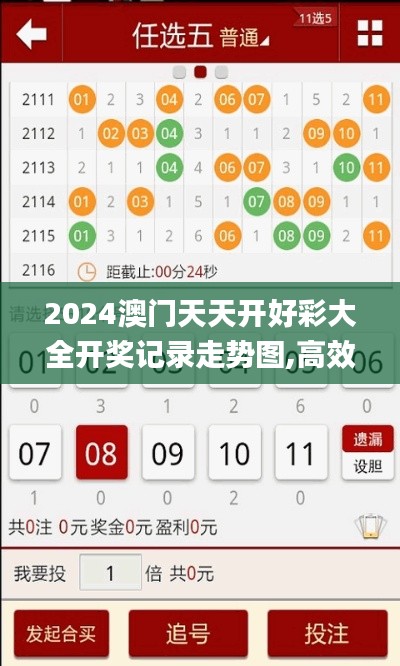 2024澳门天天开好彩大全开奖记录走势图,高效性实施计划解析_VIP2.423