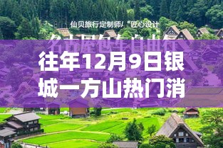 揭秘往年12月9日银城一方山的热门消息，掌握最新资讯的技能指南