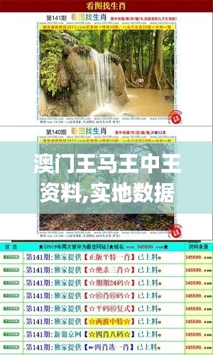 澳门王马王中王资料,实地数据验证执行_豪华版4.340