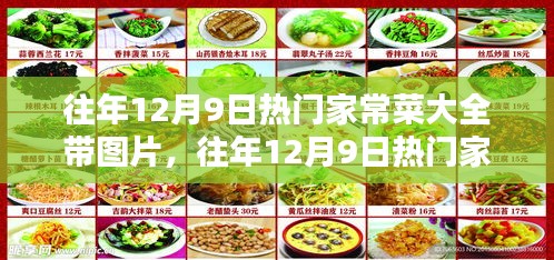 往年12月9日热门家常菜，全攻略与图片详解