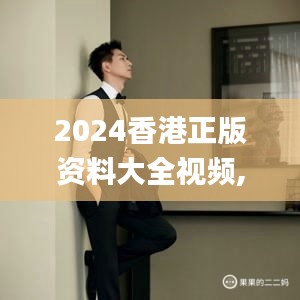 2024香港正版资料大全视频,创新性方案解析_模拟版4.311