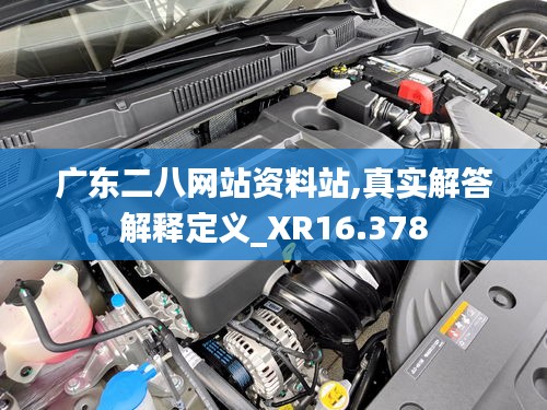 广东二八网站资料站,真实解答解释定义_XR16.378