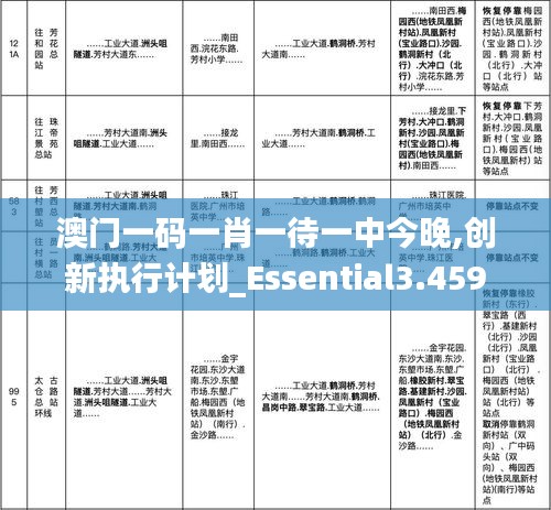 澳门一码一肖一待一中今晚,创新执行计划_Essential3.459