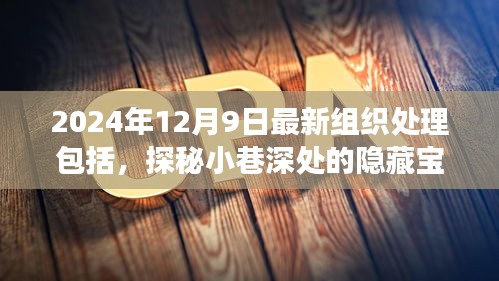 探秘小巷深处的隐藏宝藏，特色小店的独特组织处理艺术与故事揭秘