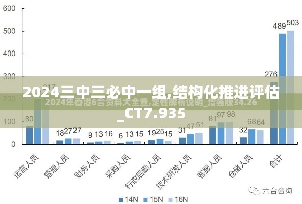 2024三中三必中一组,结构化推进评估_CT7.935