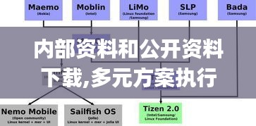 内部资料和公开资料下载,多元方案执行策略_Tizen18.695