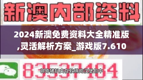 2024新澳免费资料大全精准版,灵活解析方案_游戏版7.610