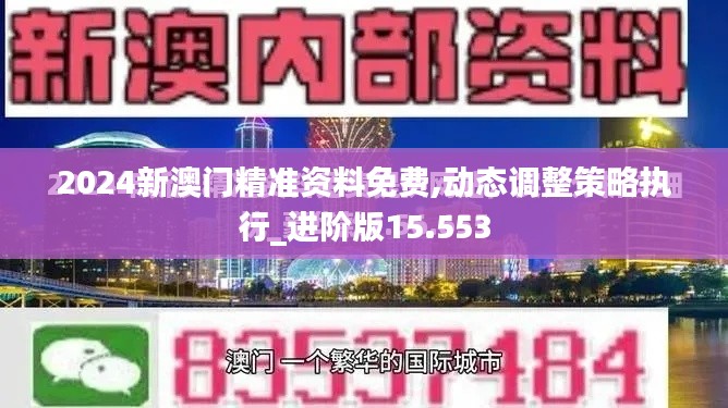 2024新澳门精准资料免费,动态调整策略执行_进阶版15.553