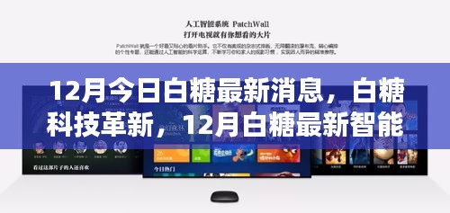 白糖科技革新引领生活新潮流，最新智能产品亮相十二月今日白糖市场消息速递