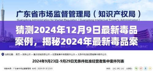 揭秘深度解析，2024年最新毒品案例警示与深度解析揭秘（独家报道）