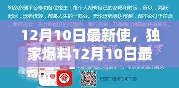 独家爆料，12月10日最新使用指南，引领时尚潮流的必备秘籍！