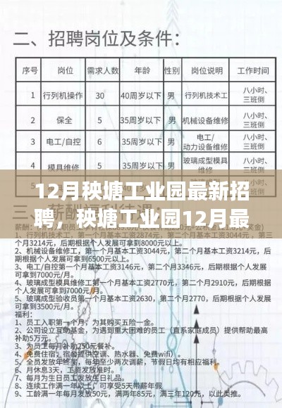 秧塘工业园12月招聘指南，应聘成功秘诀与最新职位信息解析