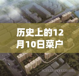 菜户营安置房项目回望历程与最新进展，12月10日最新消息揭秘