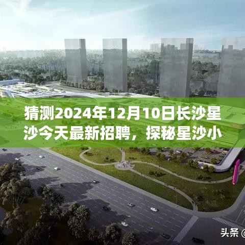 探秘星沙隐藏瑰宝，揭秘长沙星沙最新招聘热点下的小店之旅，2024年招聘动态一览