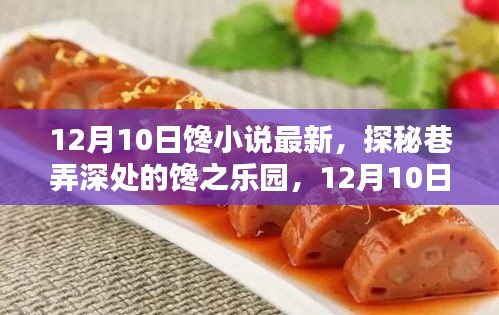 探秘巷弄深处的馋之乐园，揭秘最新隐藏特色小店，12月10日独家更新