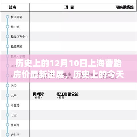 历史上的今天，上海曹路房价最新进展深度解析——12月10日房价动态观察