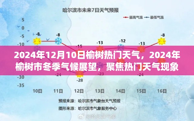 榆树市冬季气候展望及热门天气现象聚焦（2024年12月）