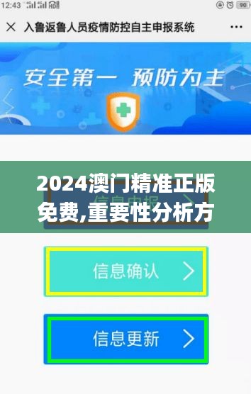 2024澳门精准正版免费,重要性分析方法_XP110.387