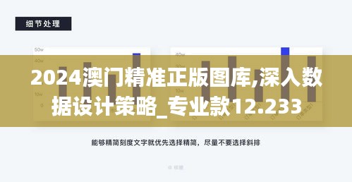 2024澳门精准正版图库,深入数据设计策略_专业款12.233