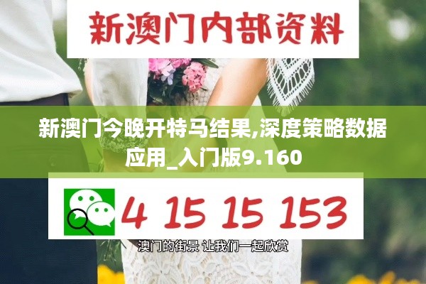 新澳门今晚开特马结果,深度策略数据应用_入门版9.160