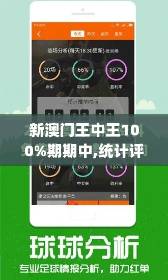 新澳门王中王100%期期中,统计评估解析说明_iPad3.515