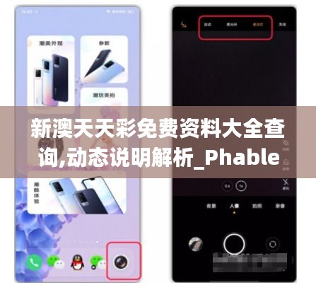 新澳天天彩免费资料大全查询,动态说明解析_Phablet7.247