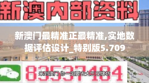 新澳门最精准正最精准,实地数据评估设计_特别版5.709