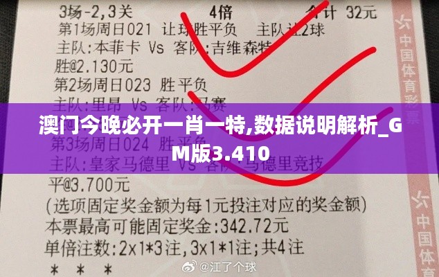 澳门今晚必开一肖一特,数据说明解析_GM版3.410