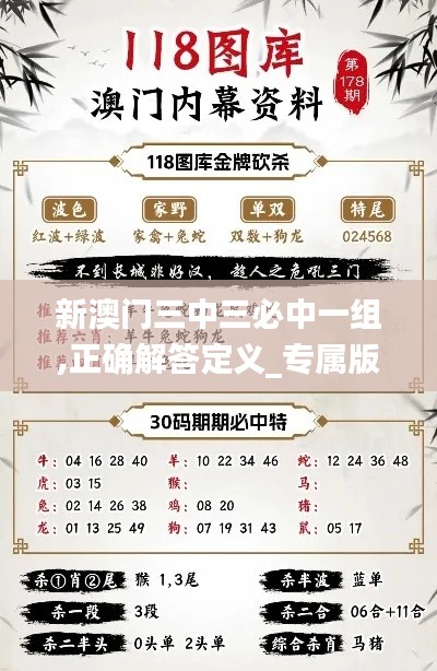 新澳门三中三必中一组,正确解答定义_专属版1.110