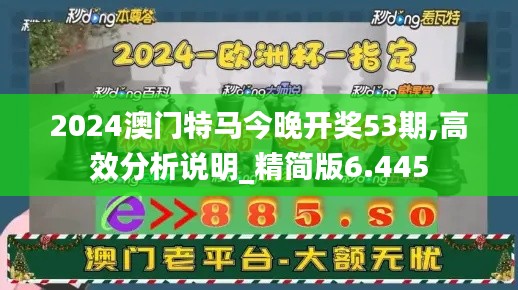 2024澳门特马今晚开奖53期,高效分析说明_精简版6.445