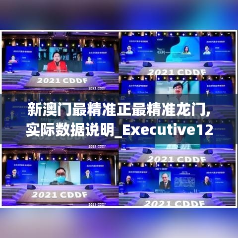 新澳门最精准正最精准龙门,实际数据说明_Executive12.302