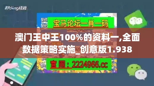 澳门王中王100%的资料一,全面数据策略实施_创意版1.938