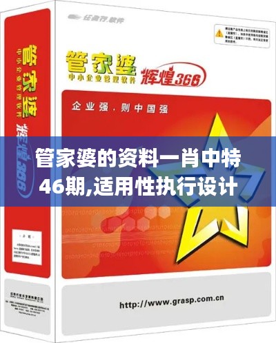 管家婆的资料一肖中特46期,适用性执行设计_铂金版3.828