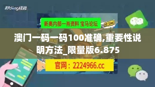 澳门一码一码100准确,重要性说明方法_限量版6.875