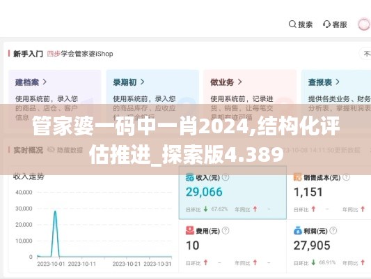 管家婆一码中一肖2024,结构化评估推进_探索版4.389